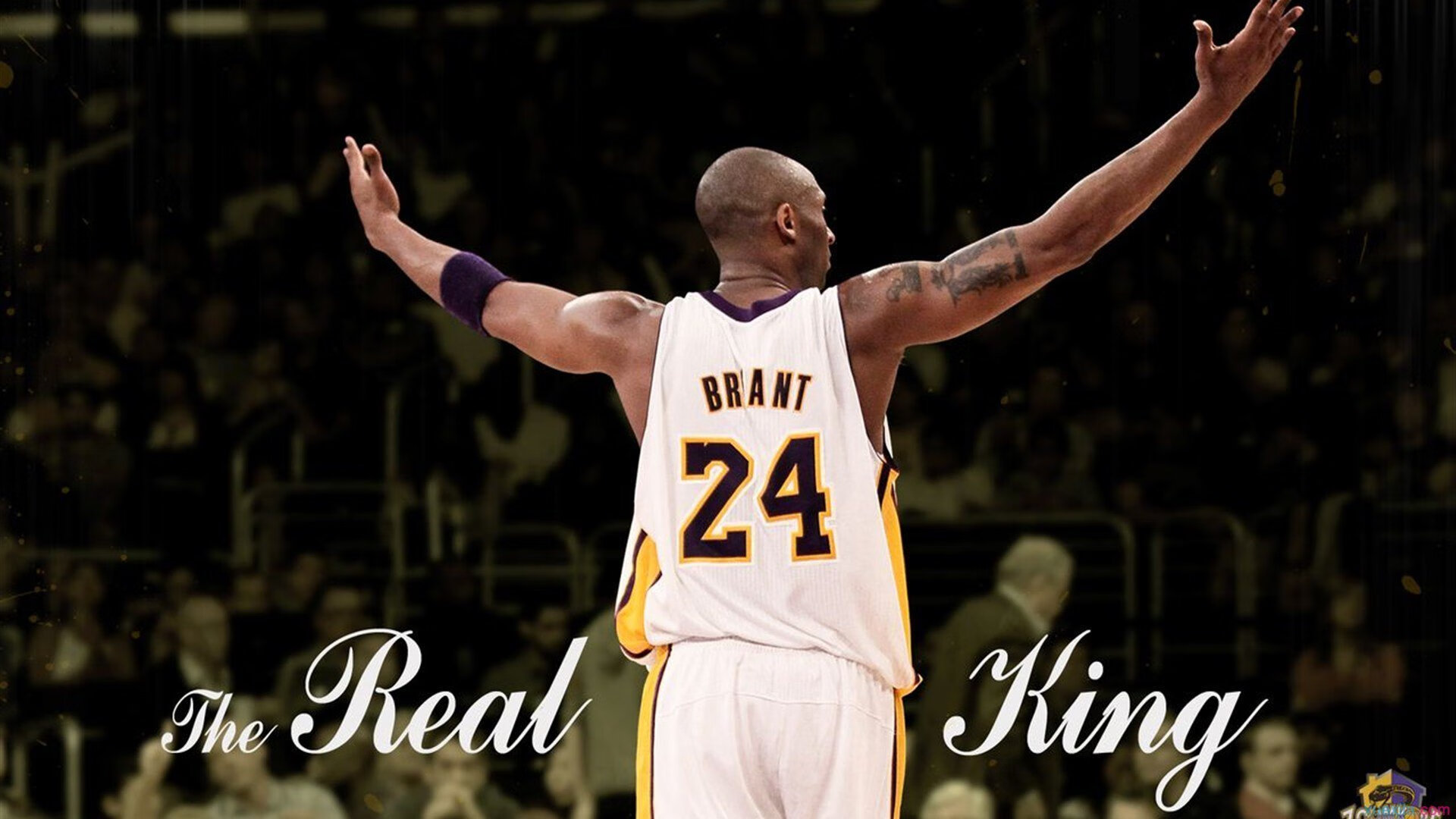 世界杯激动人心：逆境中永不放弃的精神，世界杯激动人心时刻